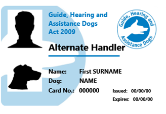 Guide hearing and cheap assistance dogs